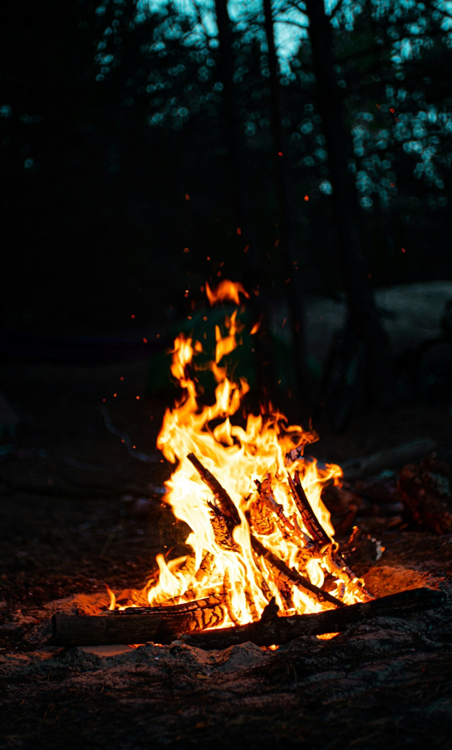 Feu de camp
