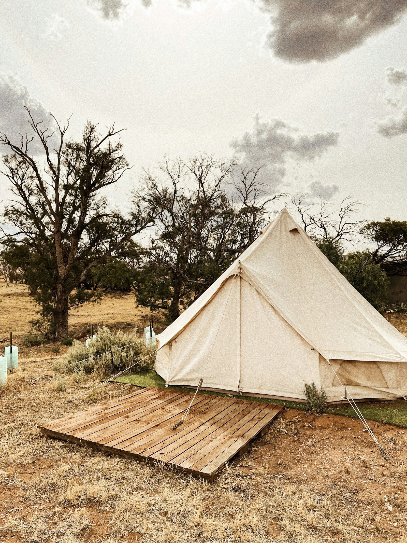 Tente Safari